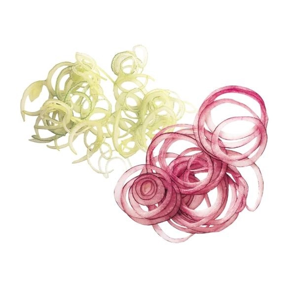 Slicer 1 mm